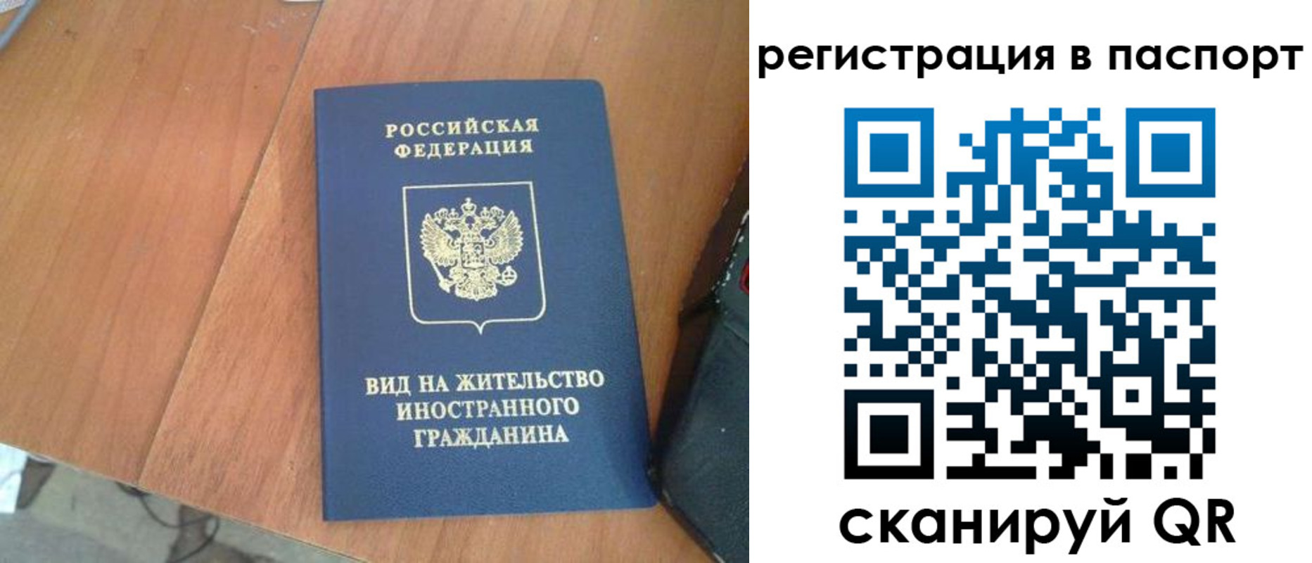 найти адрес прописки в Полярных Зорях